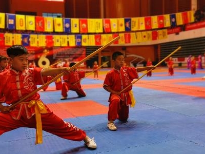 “2019年第六屆武動(dòng)中原武術(shù)跆拳道大賽”開(kāi)幕